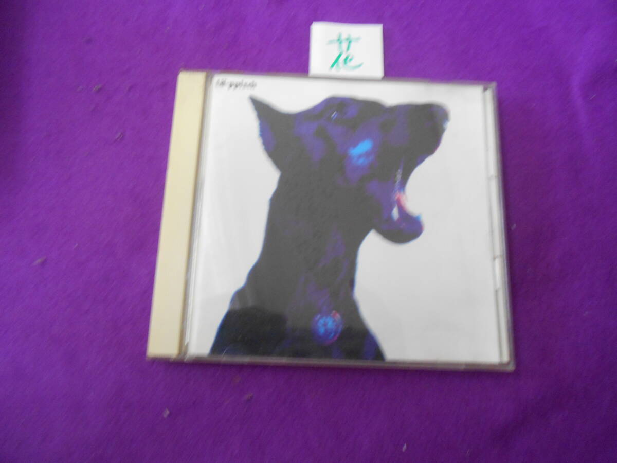 花CD レピッシュ タイムス LA-PPISCH TIMES拍卖