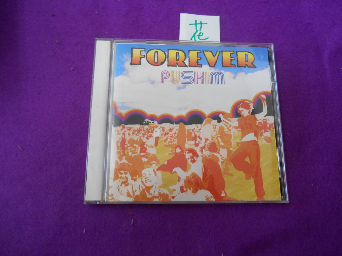 花CD! FOREVER/PUSHIM拍卖