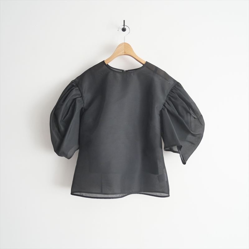 2024SS・人気完売品 / 未使用 / cygne シーニュ / バックパフスリーブシースルートップス Nadine / CY2422-01-084 / 2501-0643拍卖