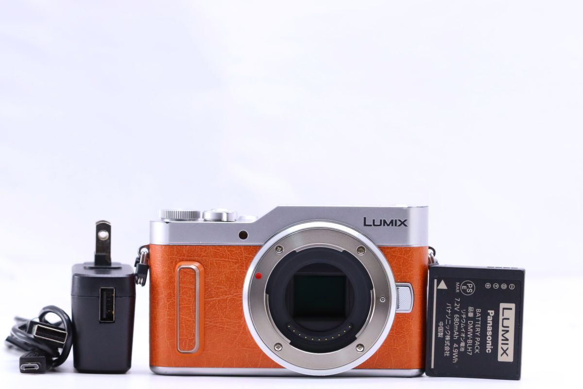 Panasonic LUMIX DC-GF10 Body パナソニック デジタル ミラーレス一眼カメラ ボディ #1396拍卖