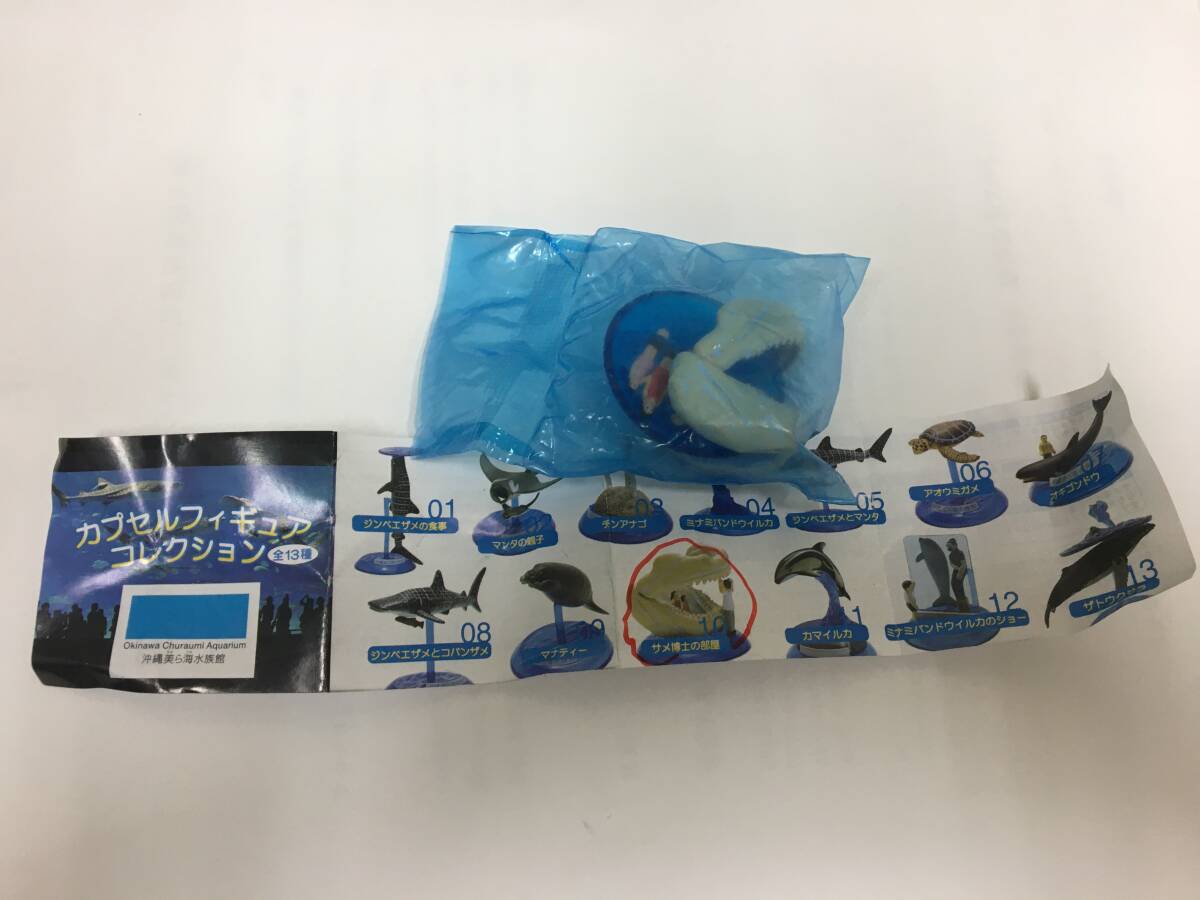 ★内袋未開封!★「 カプセルフギュアコレクション沖縄美ら海水族館 ⑩サメ博士の部屋」フィギュア ミニチュア(R7/7中島袋保管)拍卖