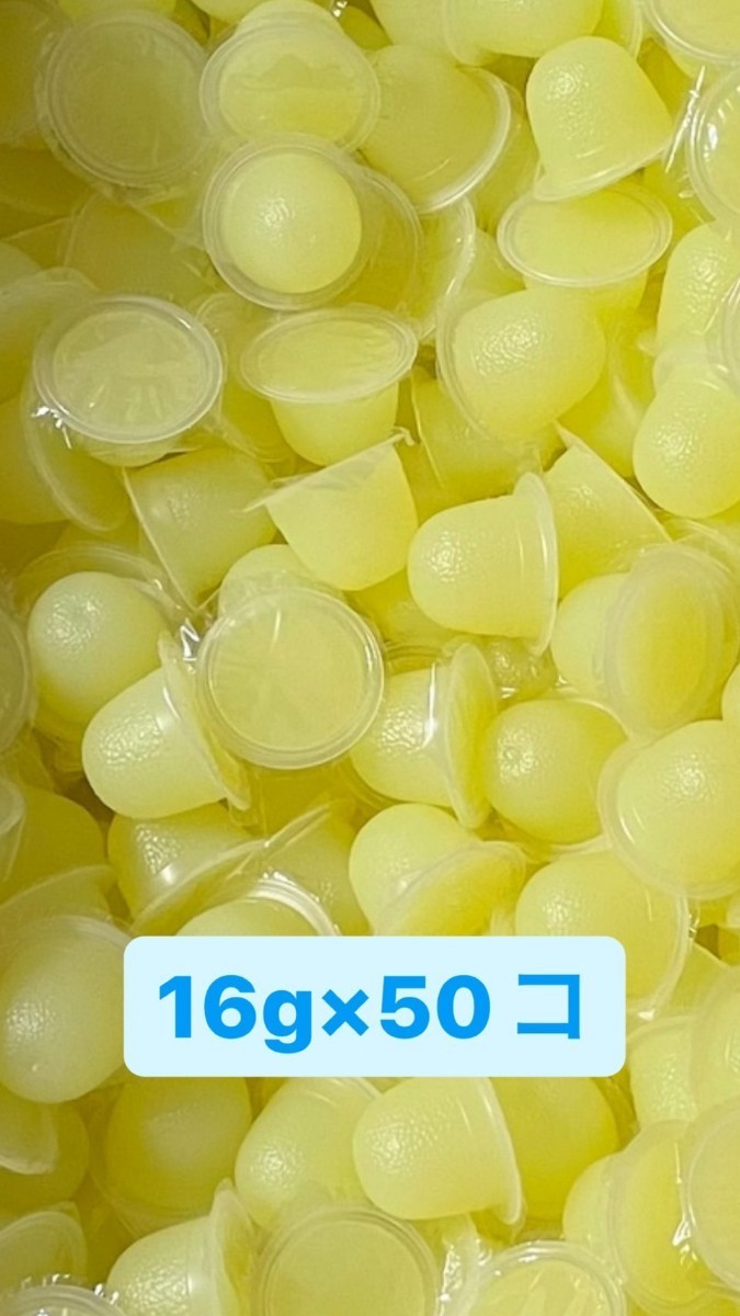 【送料無料】KBファーム製 すこやかゼリー 16g 50個 純国産 昆虫ゼリー カブトムシ・クワガタ 小動物 モモンガ ハムスター ハリネズミ等拍卖