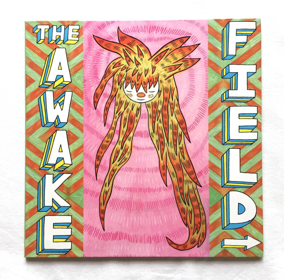 ◆The Awake Field コミック Ron Rege Jr 2006年製 レア 拍卖