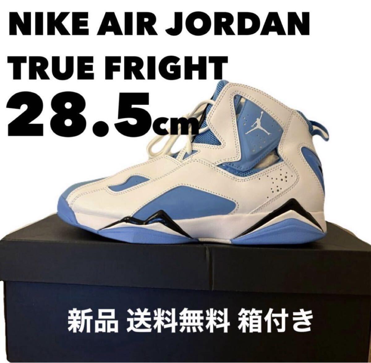 【大特価】【新品】【28.5cm】ナイキ Nike Jordan True Flight University Blue ジョーダン メンズ 水色 ホワイト ブルー 拍卖