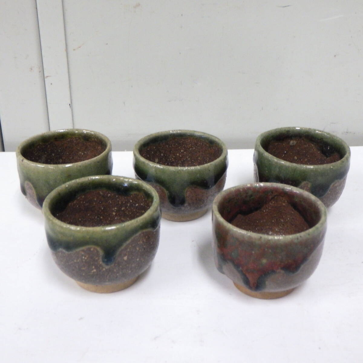 美濃焼 お猪口 ぐい呑み 酒器 5個セット拍卖