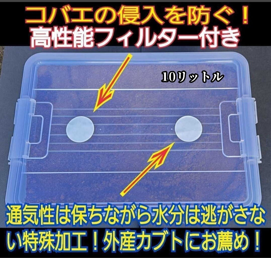 カブトムシ幼虫飼育専用セット 便利!ケースにマットが入ってます! プレミアム3次発酵マット入り 10リットルボックス 栄養添加剤配合拍卖