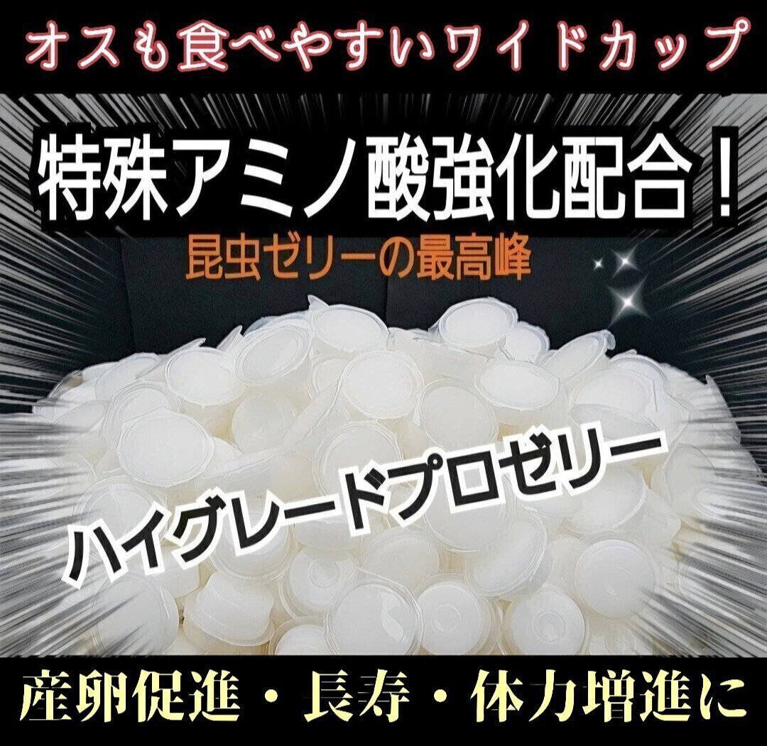 ハイグレード【100個】ワイドカップ 産卵促進・長寿・体力増進 特殊アミノ酸強化! 昆虫ゼリー クワガタのゼリー カブトムシのゼリー拍卖