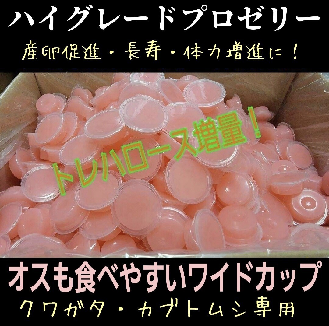 高品質! ハイグレードプロゼリー 産卵促進、長寿、体力増進に抜群! 特殊アミノ酸強化配合! ワイドカップで食べやすい! 昆虫ゼリー拍卖