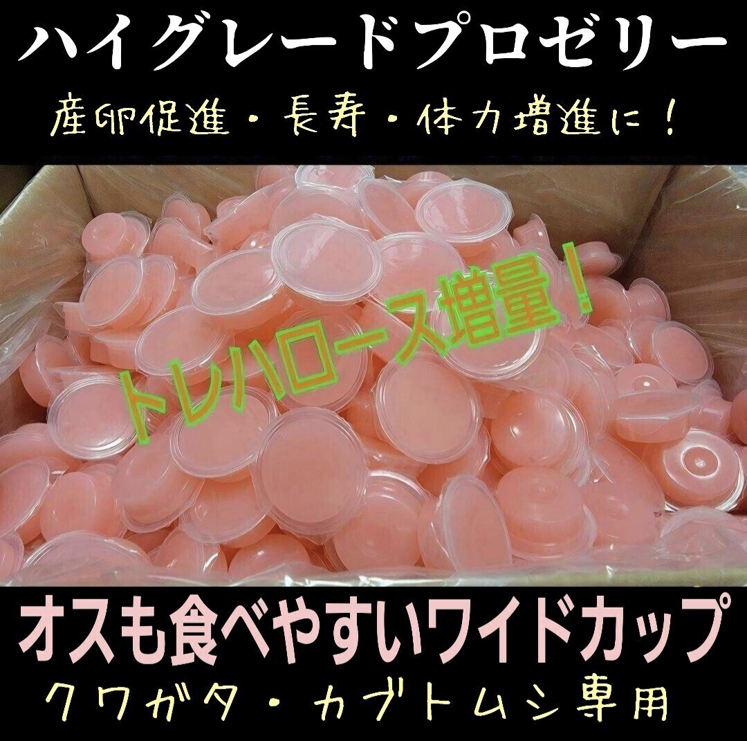 ハイグレード ワイドカップ 産卵促進、長寿、体力増進に抜群! 特殊アミノ酸強化配合! 昆虫ゼリー クワガタゼリー カブトムシゼリー拍卖
