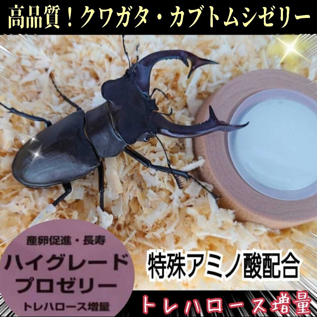 クワガタの栄養強化はコレ! 極上!ハイグレードプロゼリー 産卵促進・長寿に抜群! 特殊アミノ酸強化配合! ワイドカップで食べやすい拍卖