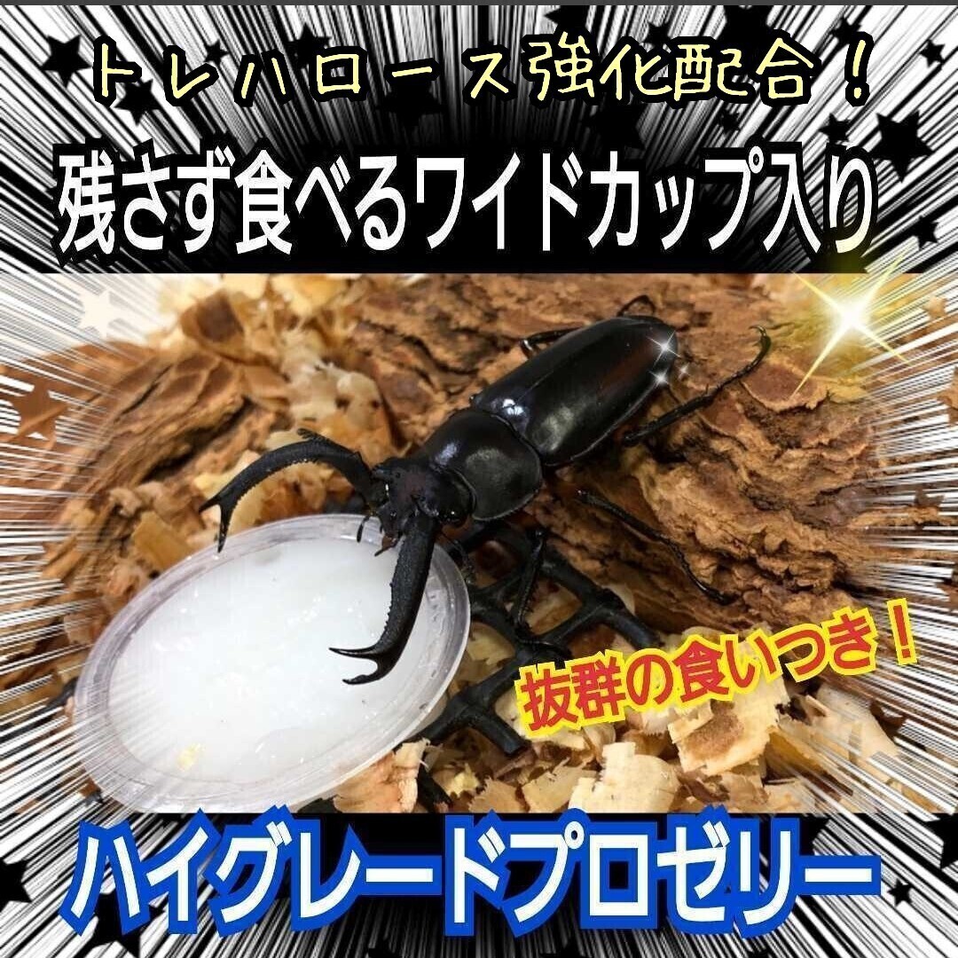 クワガタの栄養強化はコレが最強! ハイグレードプロゼリー 産卵促進、長寿に抜群! 特殊アミノ酸強化配合! ワイドカップで食べやすい拍卖