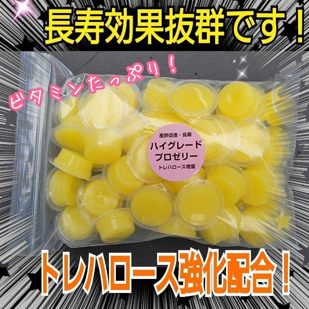 ハイグレード ワイドカップ 産卵促進・長寿・体力増進に抜群!特殊アミノ酸強化配合 昆虫ゼリー クワガタのゼリー カブトムシのゼリー拍卖