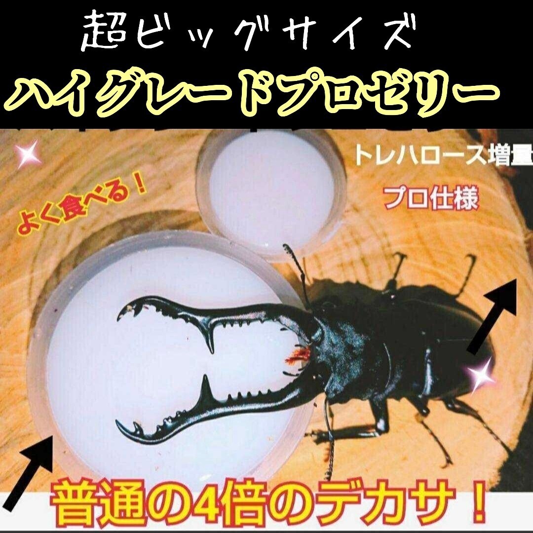 超特大サイズ! ハイグレードプロゼリー65g 産卵促進、長寿、体力増進に抜群! 特殊アミノ酸、トレハロース強化配合! 大型種にお薦め拍卖