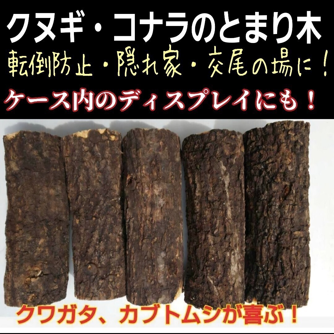 カブトムシ・クワガタ専用 とまり木5本セット 転倒防止、隠れ家、交尾の場に最適! ケース内のディスプレイにも抜群! 高圧乾燥済み拍卖