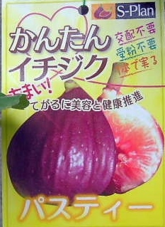 いちじく★パスティー★フランス産の赤ワインのような香り拍卖