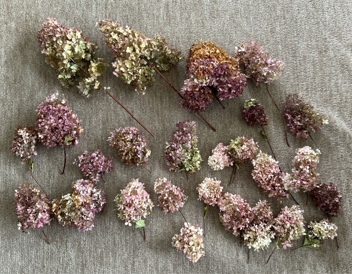 ピンク紫陽花 ピラミッド ドライフラワー27個拍卖