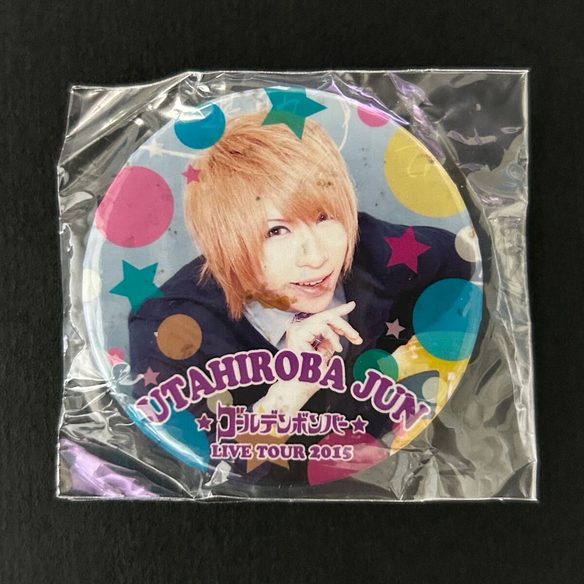 新品★缶バッジ 歌やめ 歌広場淳⑩【2015年 歌広金爆やめるってよ ゴールデンボンバー グッズ 馬ツ ガチャ 実写 有】拍卖