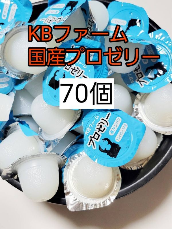 【送料無料】 国産 プロゼリー16g 70個 KBファーム 昆虫ゼリー カブトムシ クワガタ ハムスター等 小動物拍卖