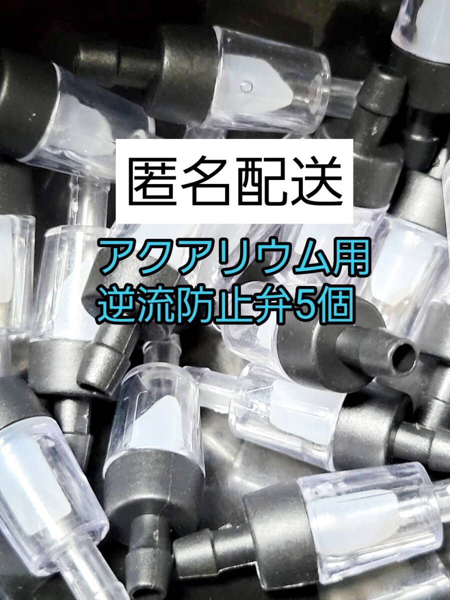 アクアリウム 逆流防止弁 5個 黒 エアーチューブ エアレーション メダカ 金魚 熱帯魚 グッピー ザリガニ 錦鯉 シュリンプ拍卖