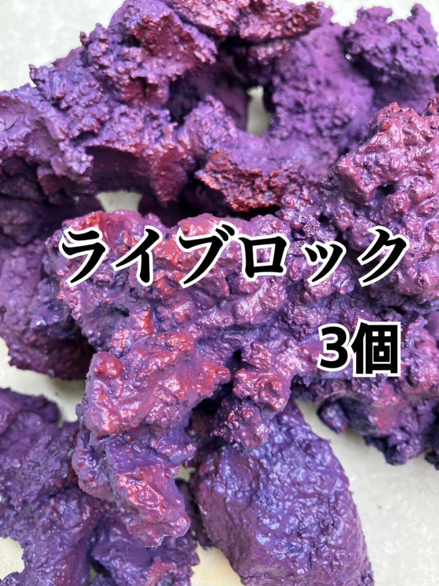 【送料無料】ライブロック 3個(背景、レイアウト、水質、レプリカ、多孔質、バクテリア)拍卖