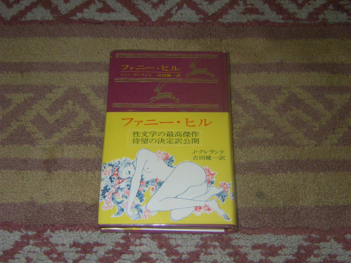 ファニー・ヒル 人間の文学 1 ジョン・クレランド 河出書房 単行本拍卖