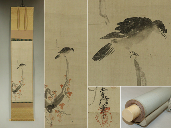 【真作】狩野常信【枯木蔦叭々鳥図】◆紙本◆識箱◆極め有◆掛軸 r03106拍卖