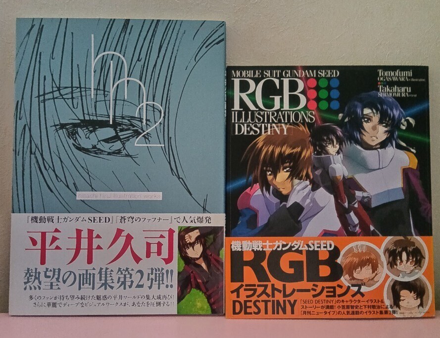 【2冊セット】ガンダムSEED DESTINY 平井久司 画集2 illustration 小笠原智史 RGB イラスト集拍卖