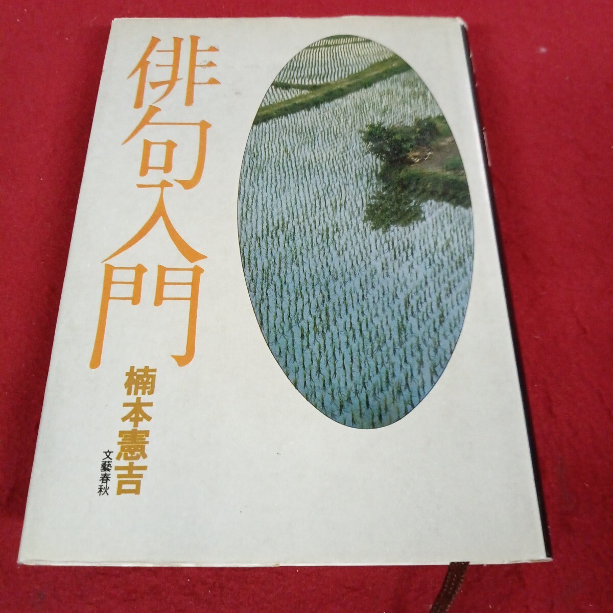 し-021/俳句入門 楠本憲吉著者 1978年10月1日発行/L11/70711/拍卖