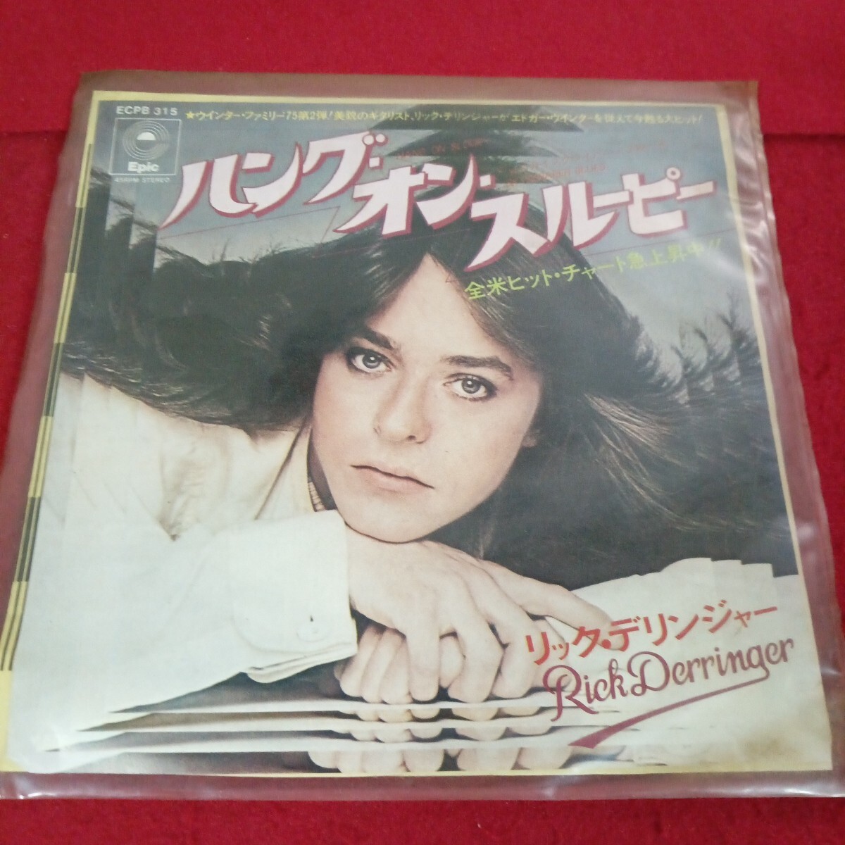 倉庫-4 022/レコード ハング-オン-スリーピー リック・デリンジャー 45RPM/L11/70718拍卖