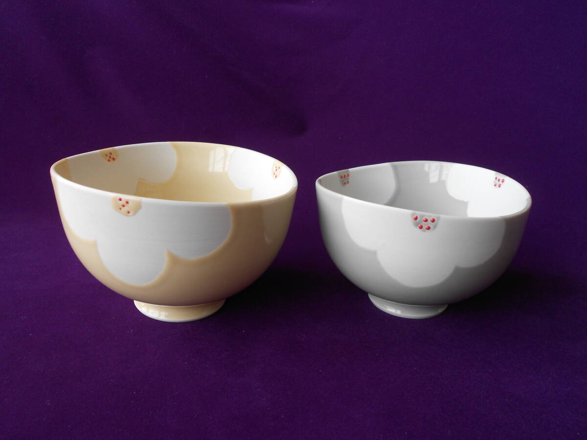 波佐見焼! ☆ボタニカ・ペアご飯茶碗☆ 25372新品 飯碗 飯茶碗 丼 茶漬碗 どんぶり 鉢拍卖