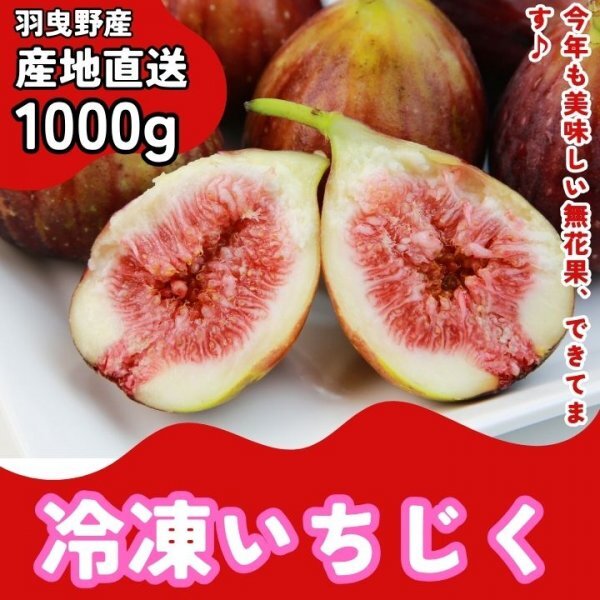 冷凍いちじく 真空パック加工 1000g 加工用 ジャム イチジク 朝採れ完熟いちじく 数量限定 とろ甘完熟 熟練農家の逸品 羽曳野産 i4拍卖