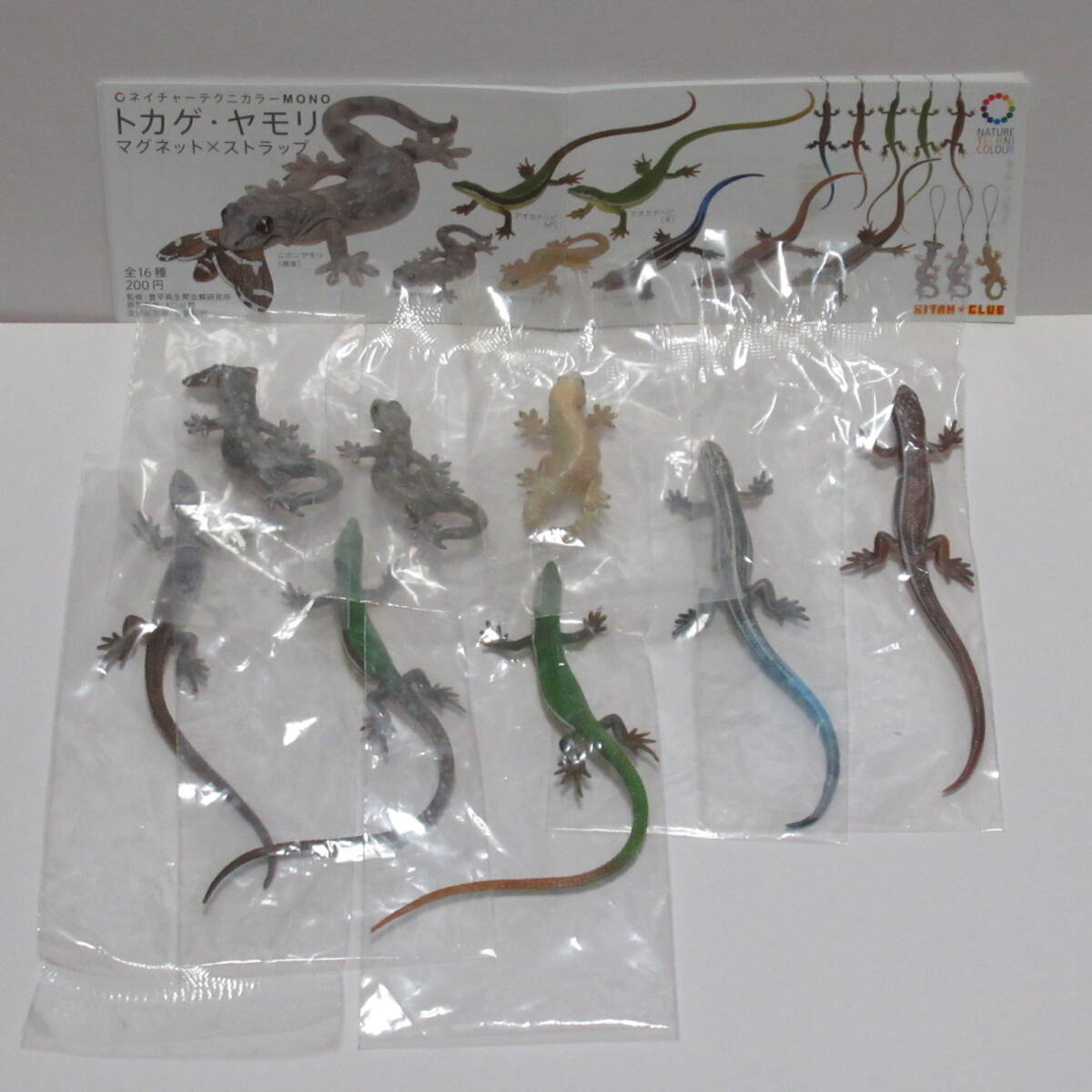 【ネイチャーテクニカラーMONO トカゲ・ヤモリ マグネット8種セット】拍卖