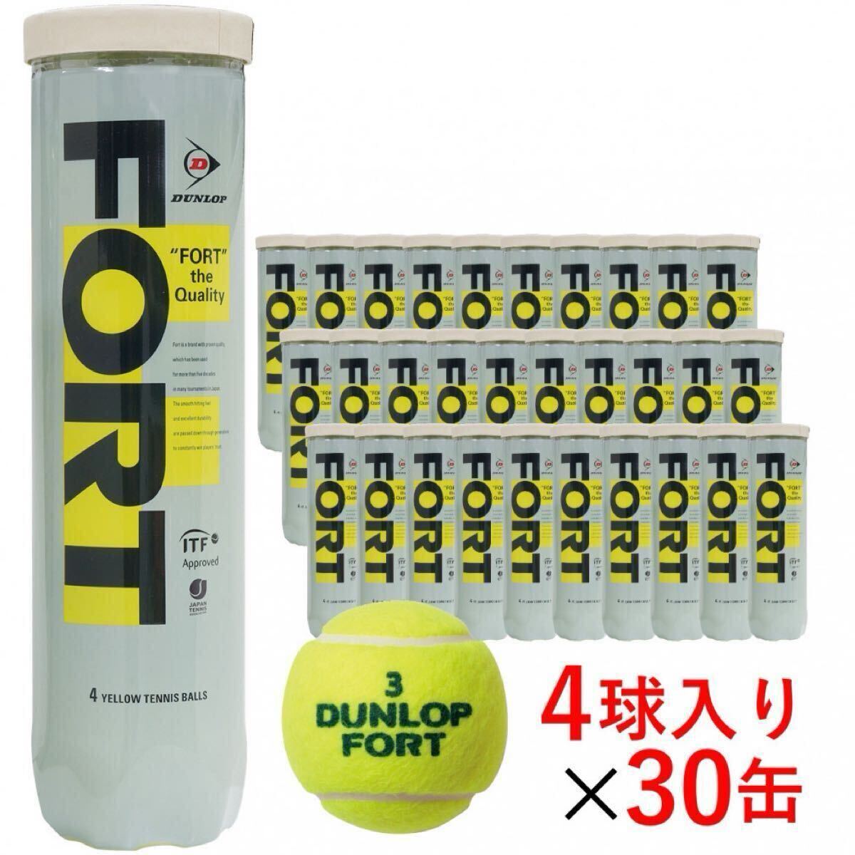 【新品】 Dunlop ダンロップ フォート 1箱120球拍卖