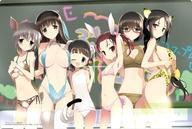 中古サプライ ブシロード ラバーマットコレクション V2 Vol.1004 電撃文庫 アクセル・ワールド『水際の号火』拍卖