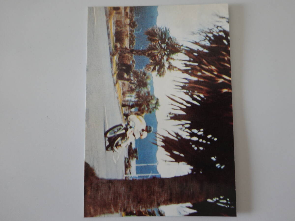 242.急げ! 本郷猛 2003カルビー 仮面ライダーチップス 仮面ライダーカード拍卖