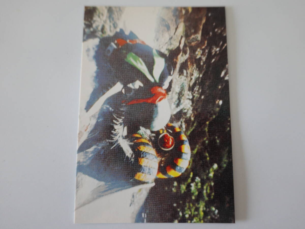 253.戦うモスキラスと2号ライダー 2003カルビー 仮面ライダーチップス 仮面ライダーカード拍卖