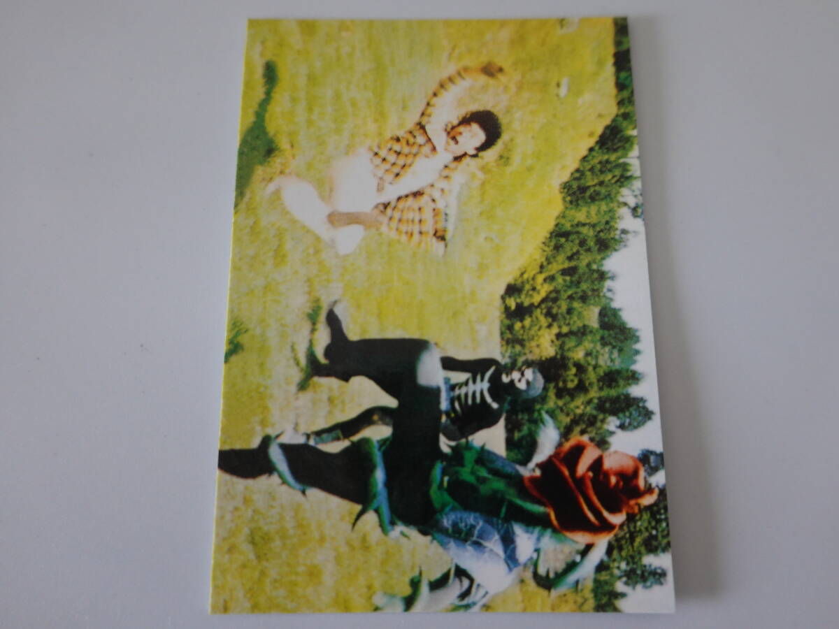 256.バラランガの使命 2003カルビー 仮面ライダーチップス 仮面ライダーカード拍卖