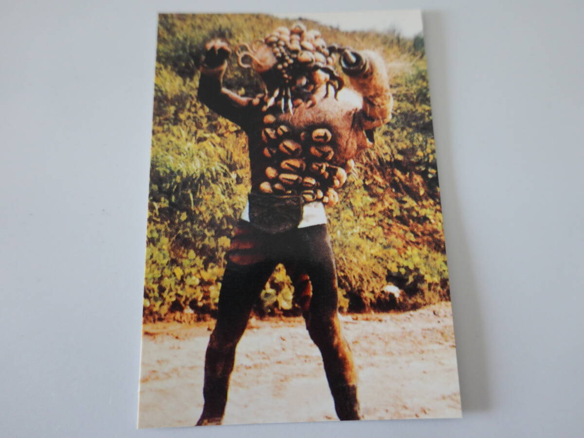 258.シュラキョラス 2003カルビー 仮面ライダーチップス 仮面ライダーカード拍卖