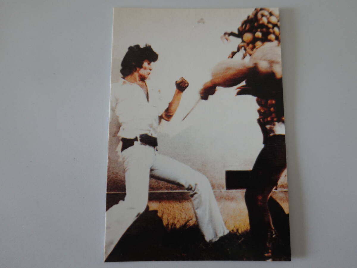 259.戦うシュラキョラス 2003カルビー 仮面ライダーチップス 仮面ライダーカード拍卖