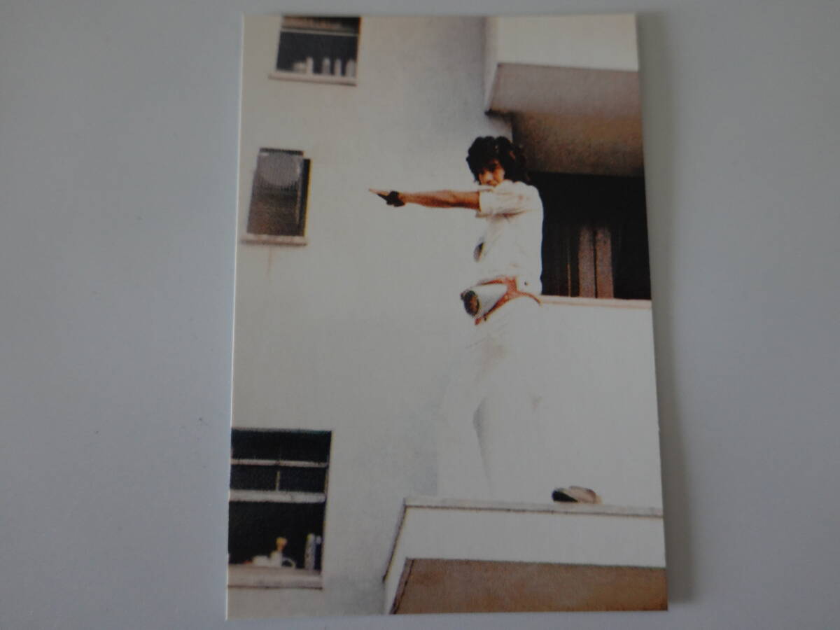 261.変身ベルトの秘密 2003カルビー 仮面ライダーチップス 仮面ライダーカード拍卖