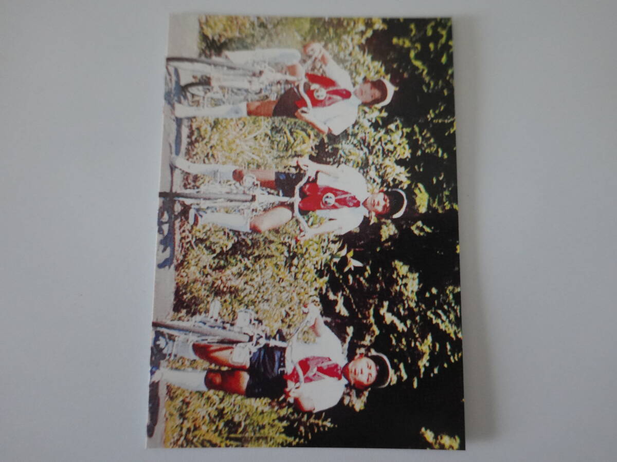 263.少年仮面ライダー隊 2003カルビー 仮面ライダーチップス 仮面ライダーカード拍卖