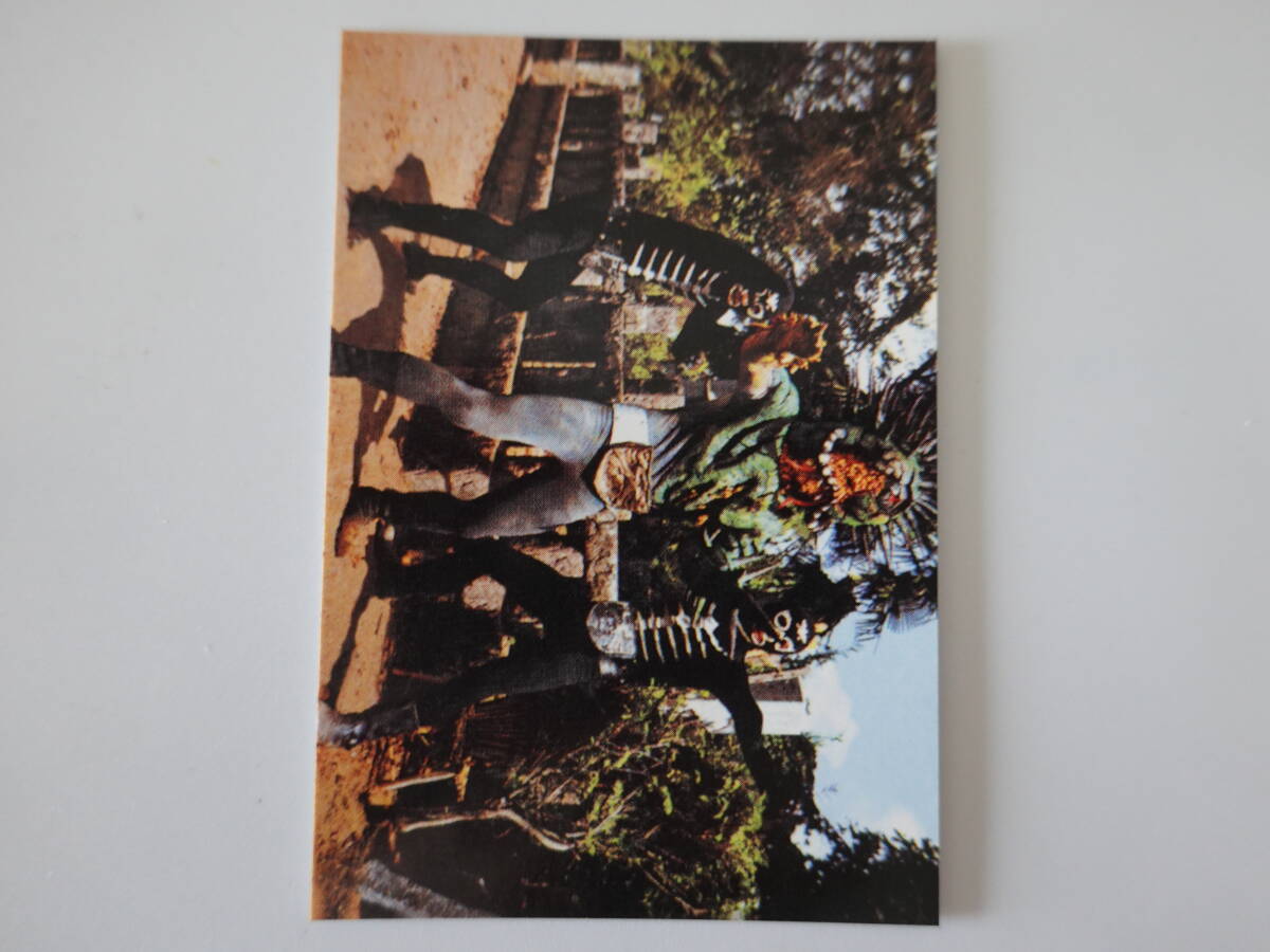 286.ショッカーベルト 2003カルビー 仮面ライダーチップス 仮面ライダーカード拍卖