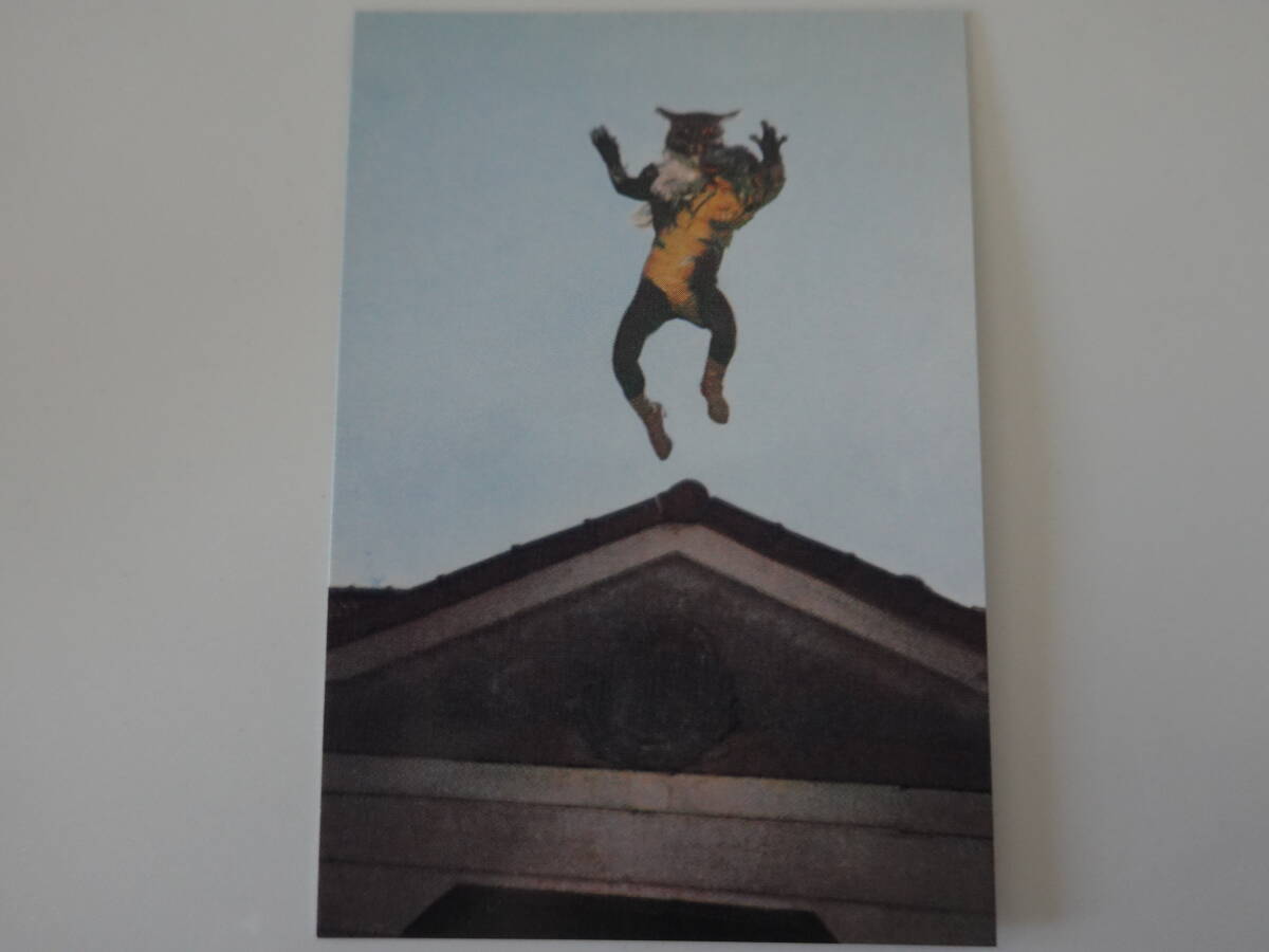 374.ネコヤモリの特徴 2003カルビー 仮面ライダーチップス 仮面ライダーカード拍卖