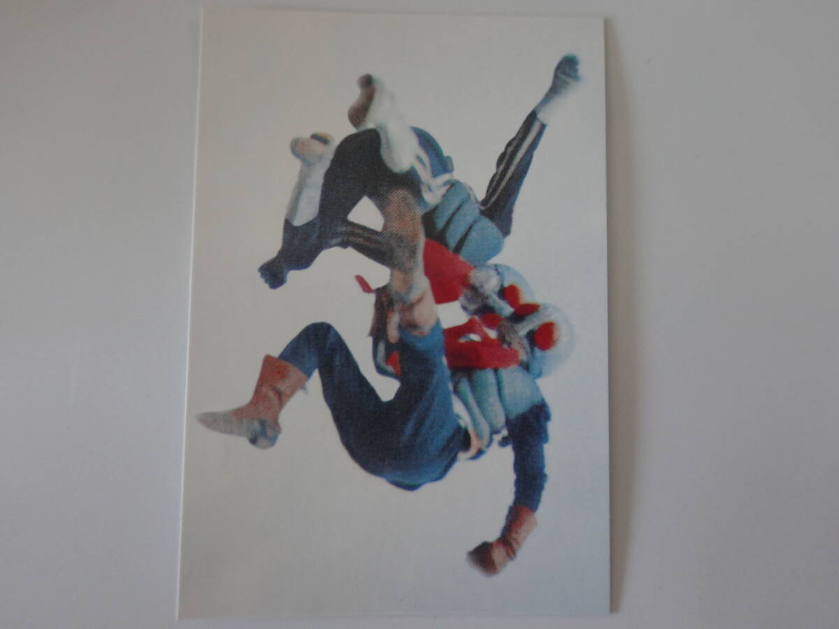 496.仮面ライダー 2003カルビー 仮面ライダーチップス 仮面ライダーカード拍卖