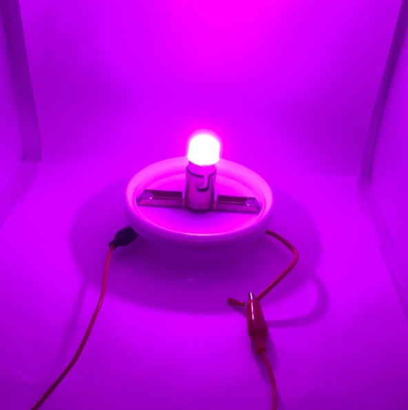 爆光 デコトラ屋 正規品 24V BA15S S25 LEDバルブ ピンク 2個SET サイドマーカー バス ナマズ UD クオン アトラス コンドル ビックサム拍卖