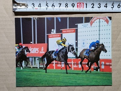 競馬 絵はがき 非売品ポストカード JRA ステイゴールド 武豊 ドバイシーマクラシック・2001年(内ファンタスティックライト)拍卖