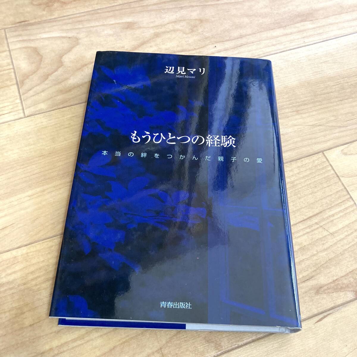 ★即決★送料無料★匿名発送★ もうひとつの経験 本当の絆をつかんだ親子の愛 辺見マリ 辺見えみり 拝み屋拍卖