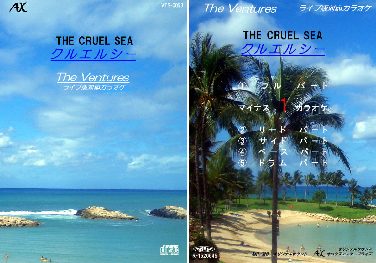 VTS-053 ベンチャーズカラオケ クルエルシー 試聴OK コード譜閲覧可 THE VENTURES The Cruel Sea拍卖