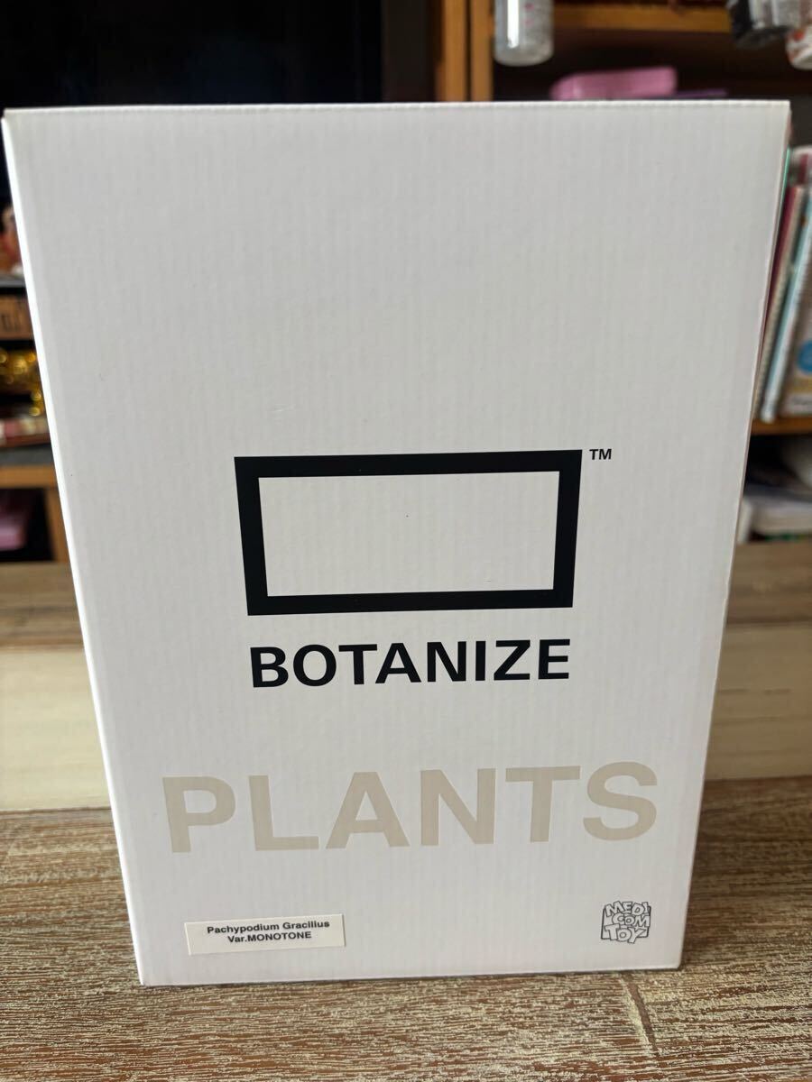メディコムトイ botanize VCD PachypodiumGracilius MONOTONE(フィギュア・パキポデュウム グラキリス・塊根・コーデックス)拍卖