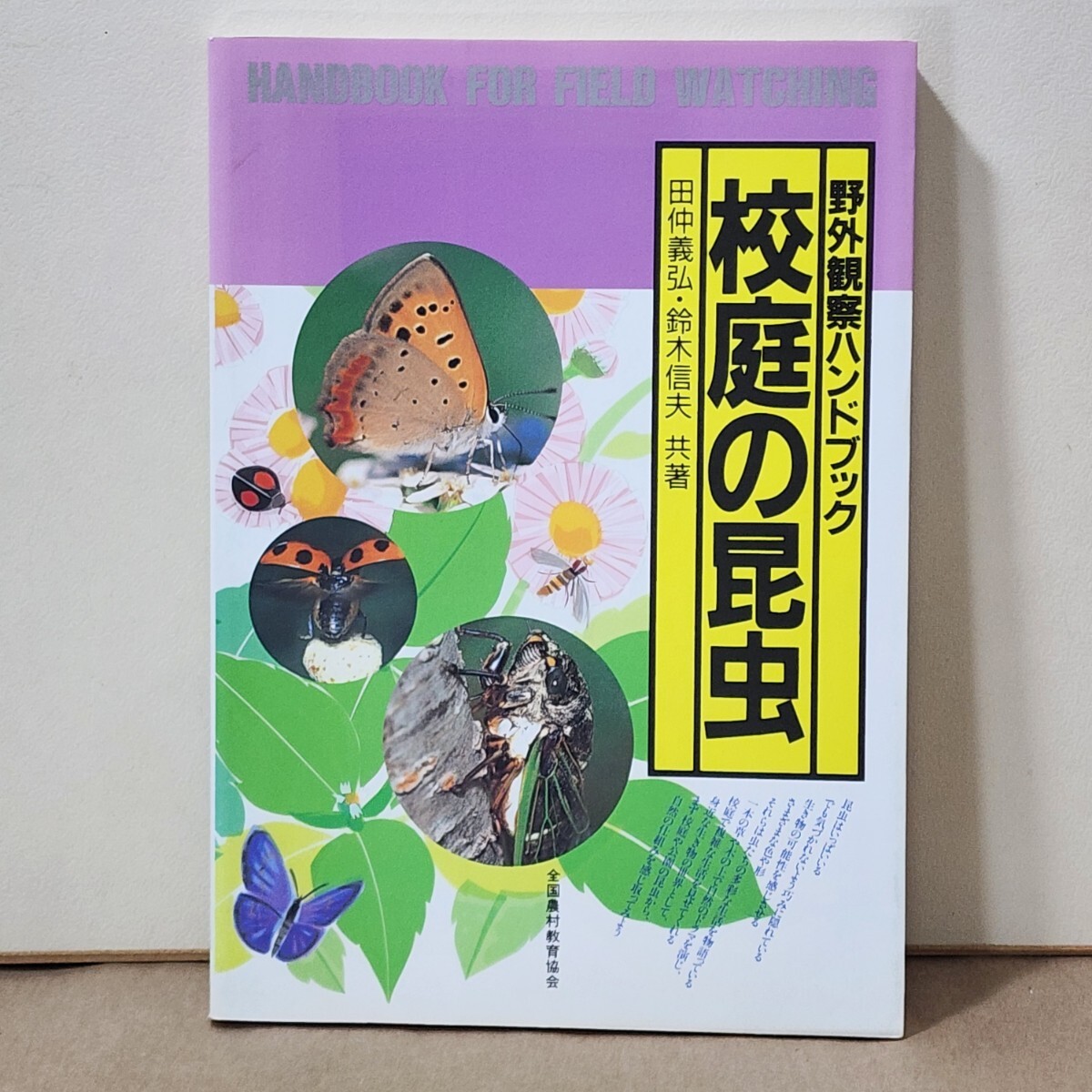 野外観察ハンドブック 校庭の昆虫 田仲義弘 鈴木信夫 全国農村教育協会 |古本|蝶|蝿|蜂|甲虫|カメムシ|バッタ|トンボ|事典|拍卖